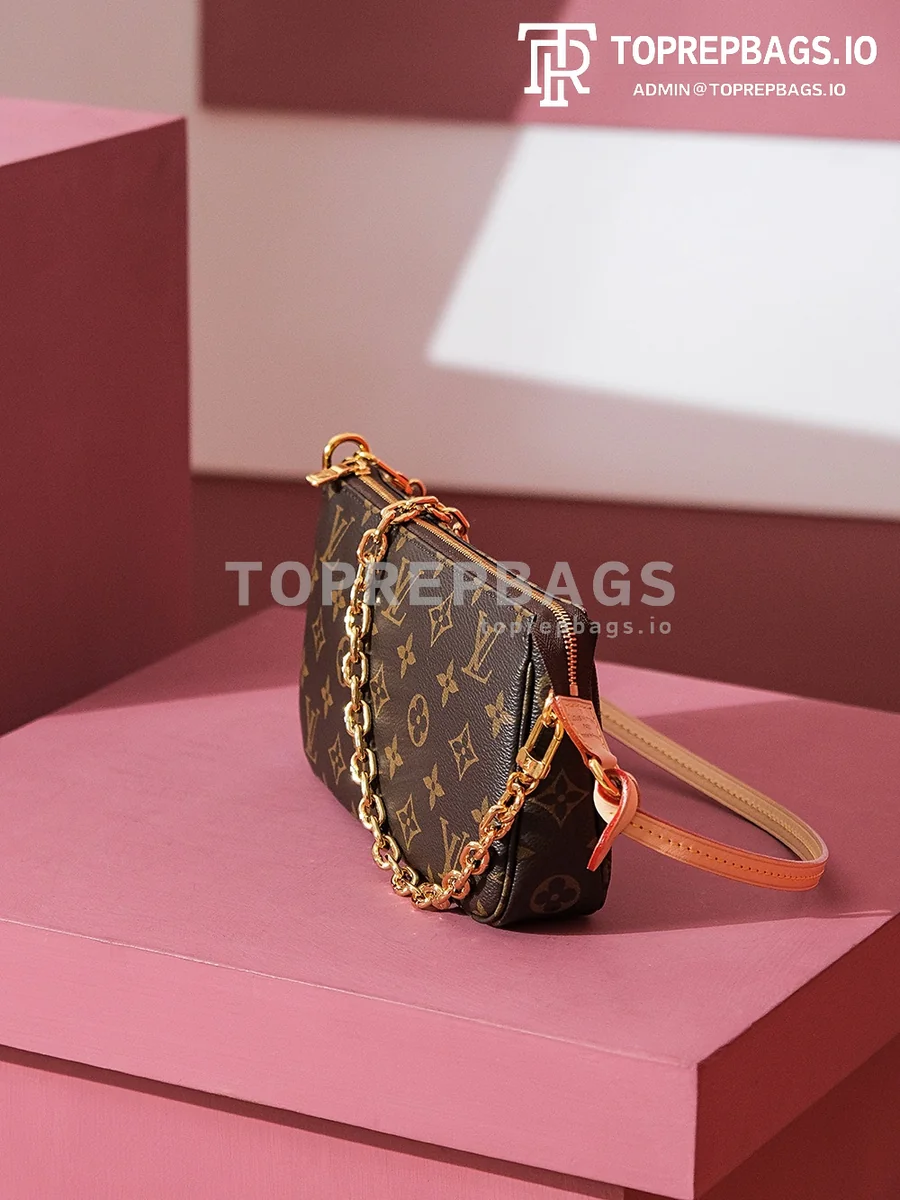 i1699436966_1774_1 Louis Vuitton Pochette Accessoires in Brown