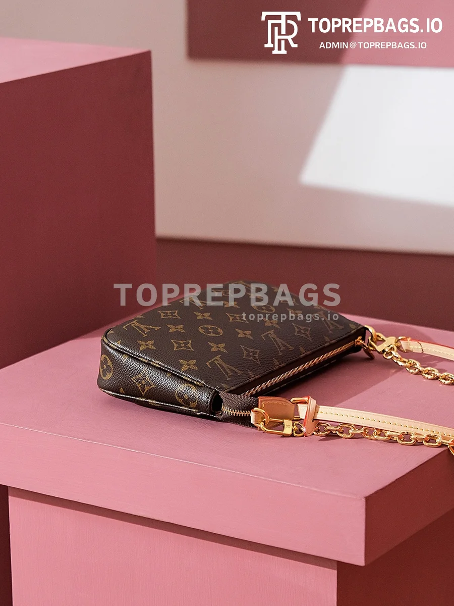 i1699436966_2009_7 Louis Vuitton Pochette Accessoires in Brown