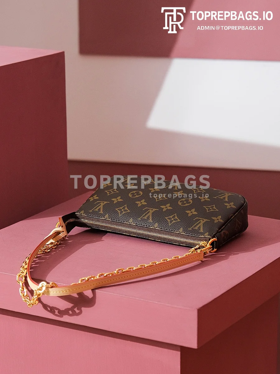 i1699436966_8806_5 Louis Vuitton Pochette Accessoires in Brown