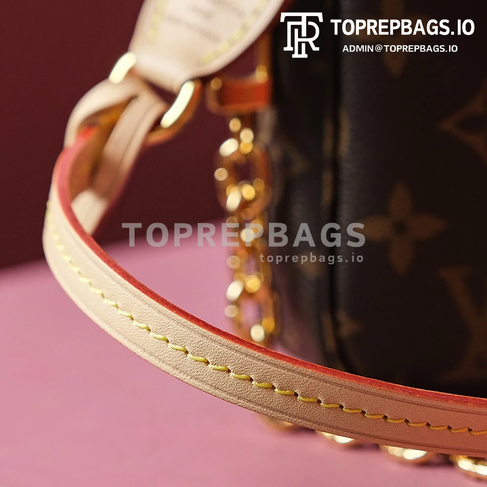 i1699437049_9525_4 Louis Vuitton Pochette Accessoires in Brown