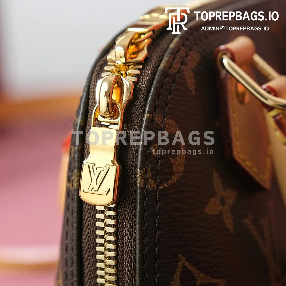 i1702026998_494_4 Louis Vuitton Alma in Brown