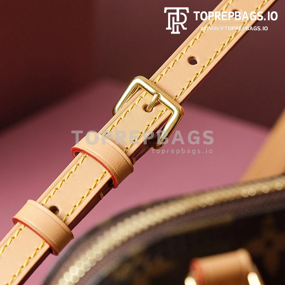 i1702026998_6431_0 Louis Vuitton Alma in Brown