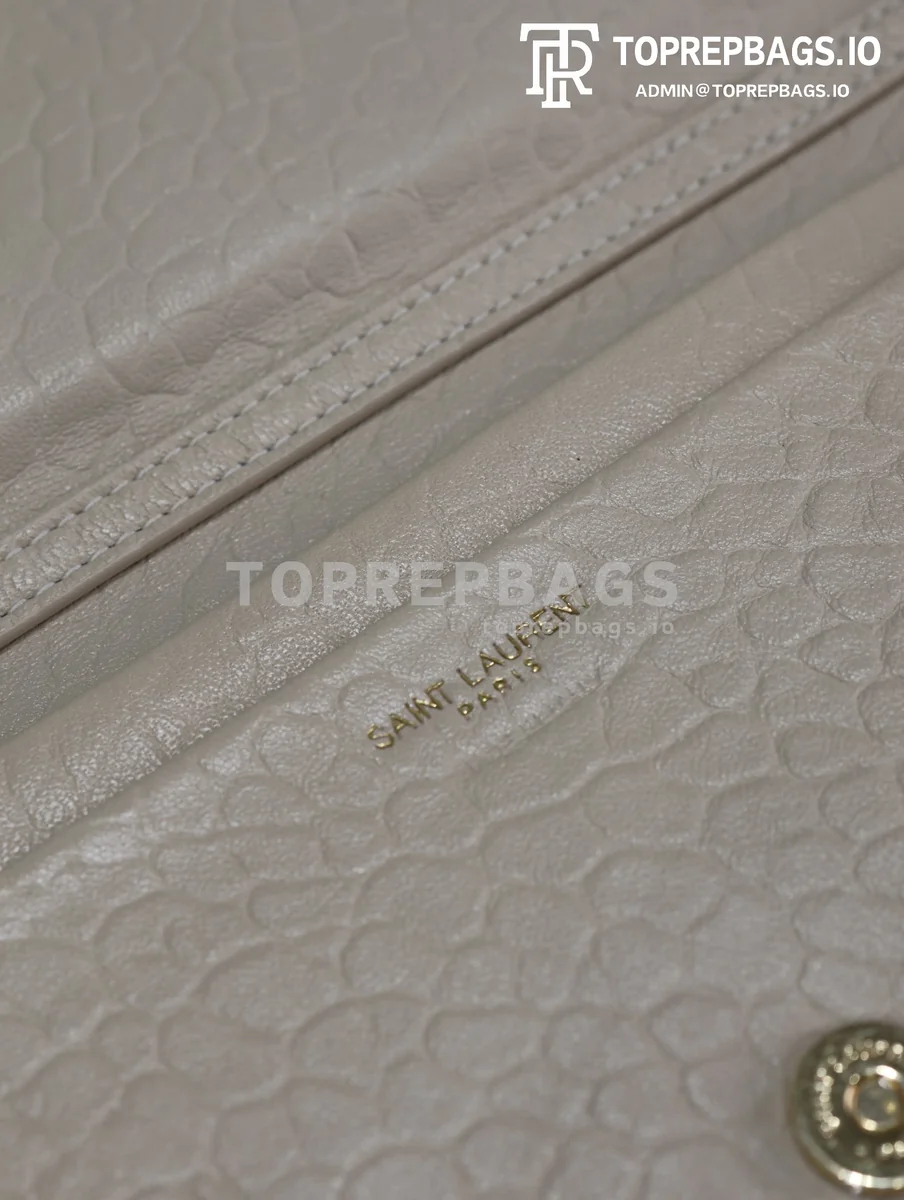 i1726301987_511_3 YSL Calypso Mini in White