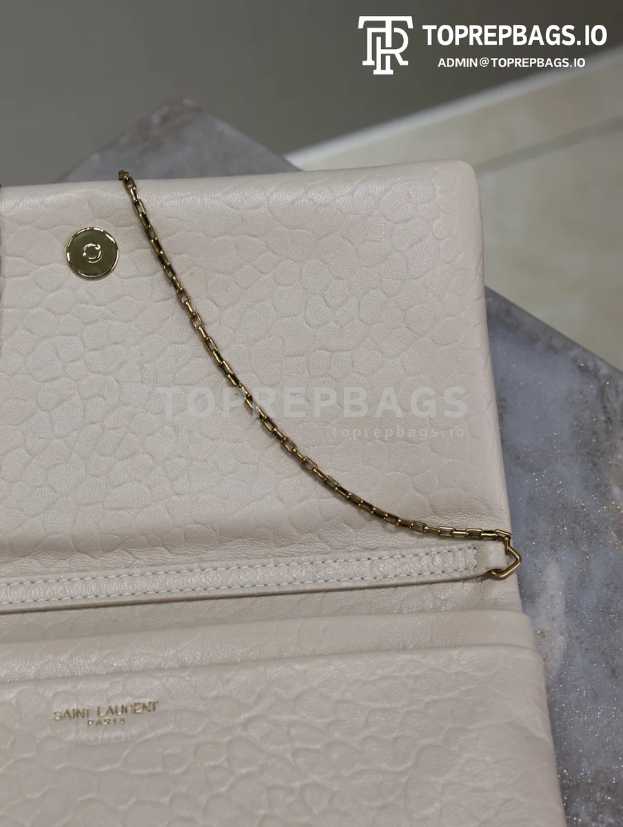 i1726301987_8366_2 YSL Calypso Mini in White