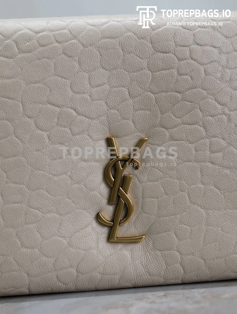 i1726301987_8726_8 YSL Calypso Mini in White