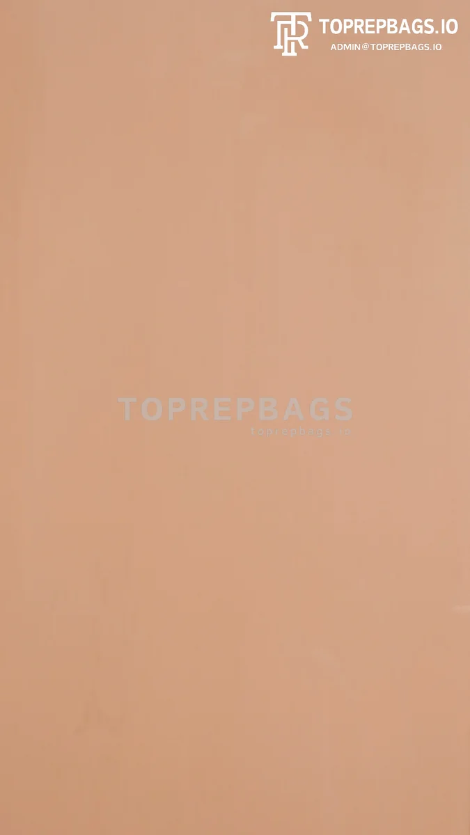 o1678361567_5788 Louis Vuitton NeoNoe Bucket in Brown