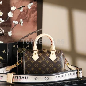 Louis Vuitton Speedy in Brown