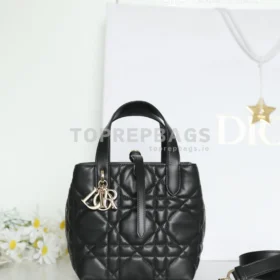 Dior Toujours Vertical in Black