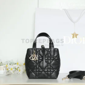 Dior Toujours Vertical in Black