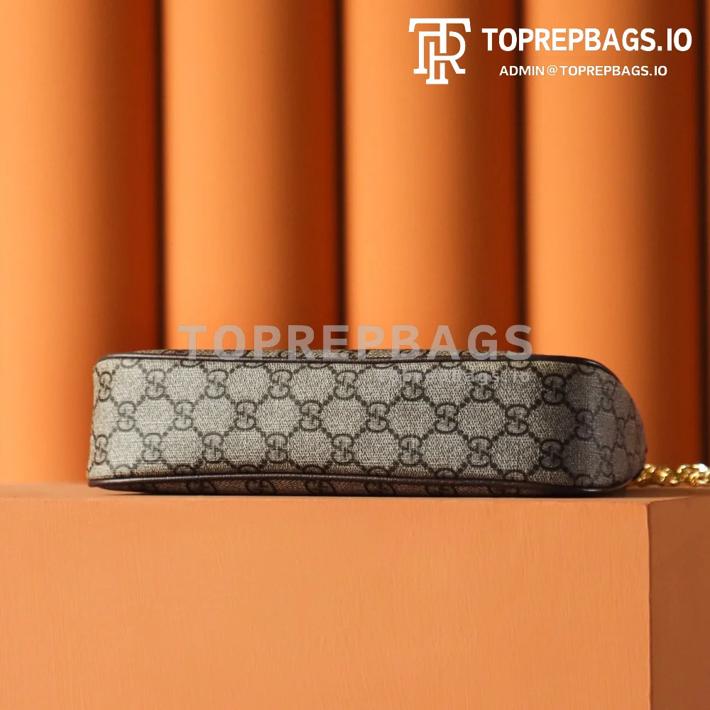 Gucci Ophidia Hobo in Beige