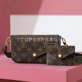 Louis Vuitton Felicie Strap & Go in Brown