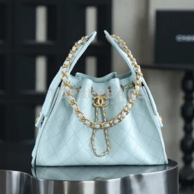 Chanel 25 Bag Small Hobo in Blue