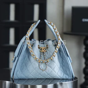 Chanel 25 Bag in Blue