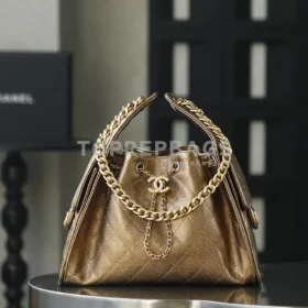 Chanel 25 Bag Small Hobo in Brown