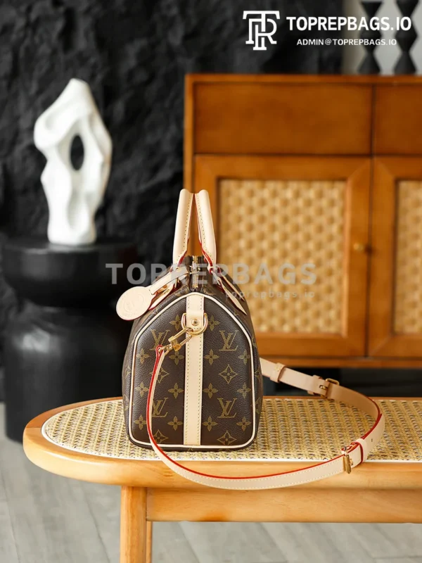 Louis Vuitton Speedy in Brown
