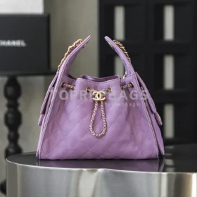 Chanel 25 Bag Small Hobo in Purple
