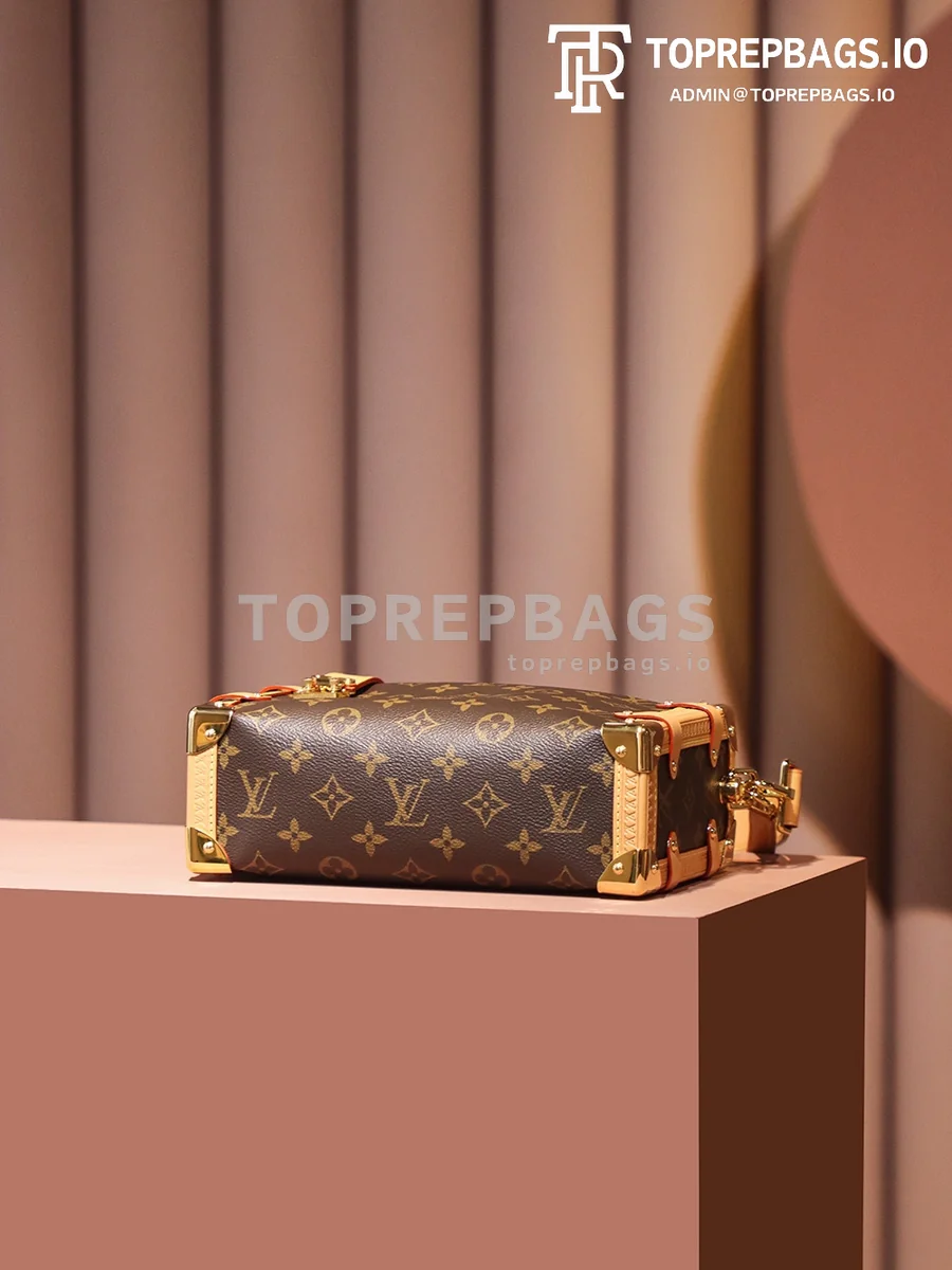 Louis Vuitton Side Trunk in Brown